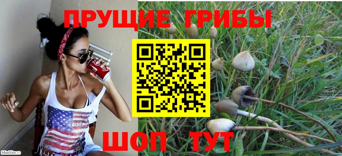 Псилоцибиновые грибы мицелий Аксай