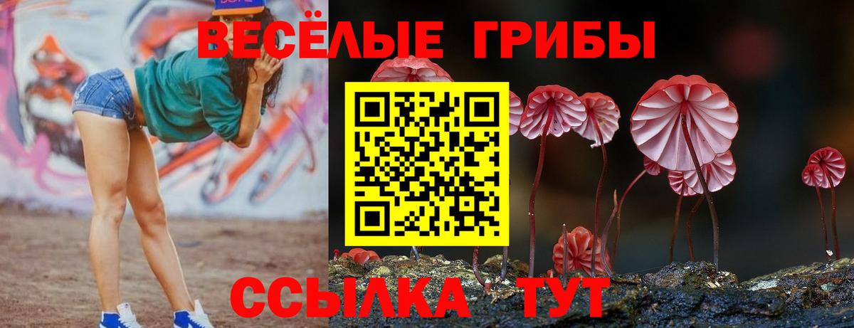 Аксай  Cocaine  Наркошоп  МЕФ кристаллы  Вход с VPN  ГАШИШ  Alpha PVP СОЛЬ кристаллы 